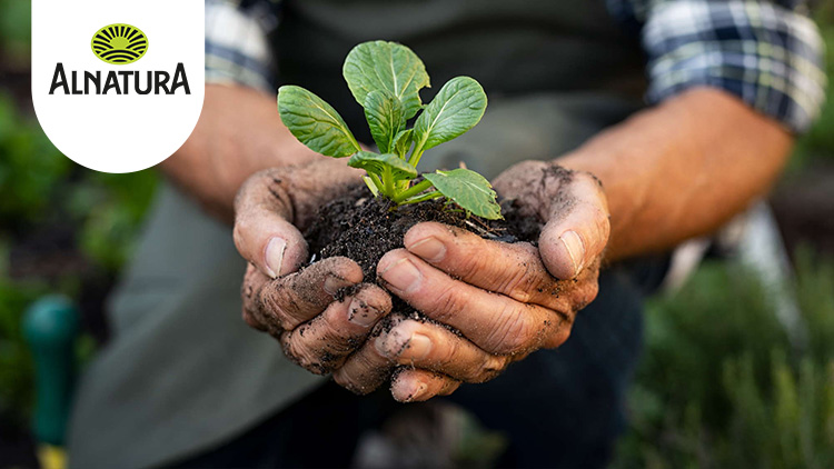 Eine Person hält eine kleine grüne Pflanze mit Erde in den Händen, links oben das Alnatura-Logo mit Schriftzug und Sonne.