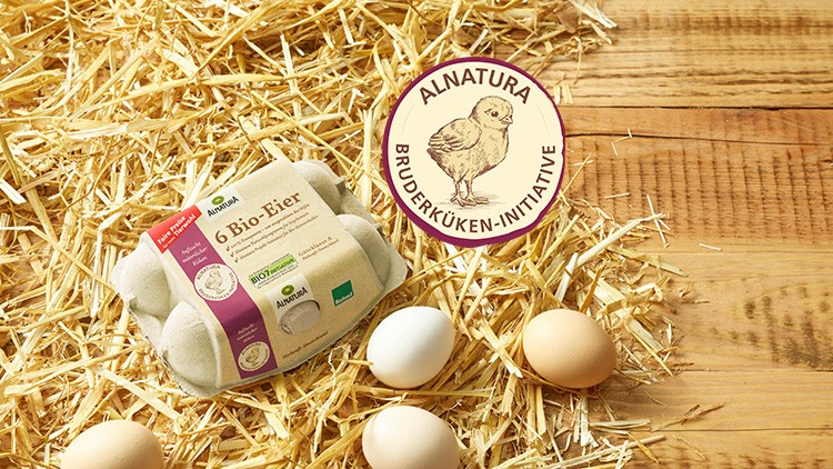 Sechser-Packung Bio-Eier von Alnatura auf Stroh, daneben ein rundes Emblem mit Küken und der Aufschrift „Alnatura Bruderküken-Initiative“.