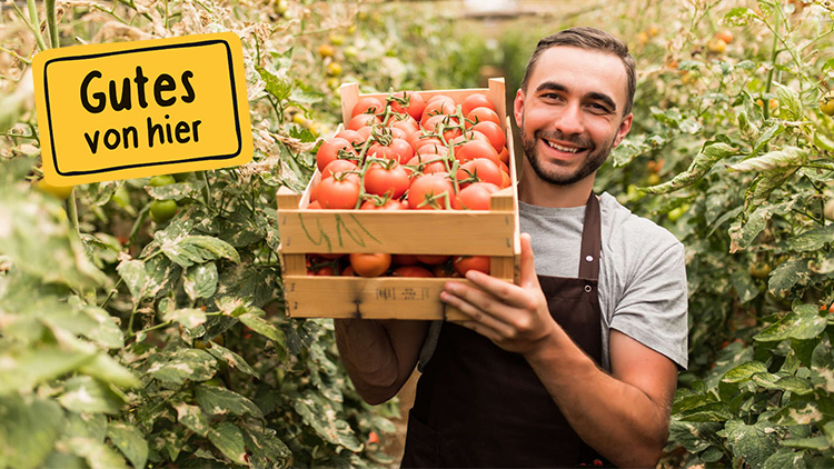 Eine Person hält eine Holzkiste mit roten Tomaten vor einem Tomatenfeld, gelbes Schild mit „Gutes von hier“ ist sichtbar.