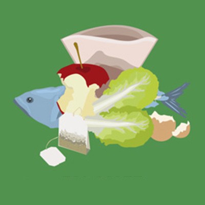 Ein Apfelrest, zwei Salatblätter, ein Teebeutel, Fischreste, Eierschalen und eine Schüssel auf grünem Hintergrund.