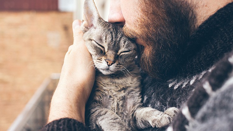 Eine Person mit Bart hält eine Katze, die die Augen geschlossen hat, und drückt sanft ihre Stirn an den Kopf der Katze.