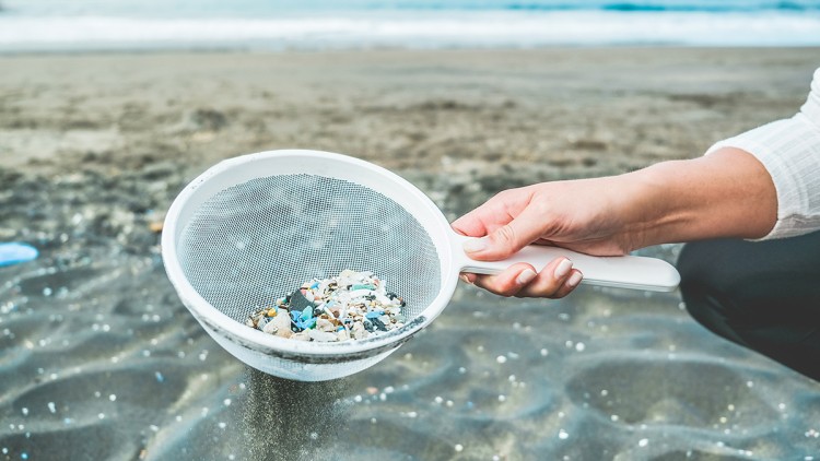 Eine Hand hält ein weißes Sieb über sandigem Strand, darin kleine bunte Plastikteile und Mikroplastikreste.