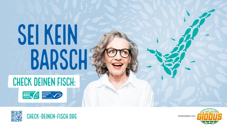 Hellblauer Hintergrund mit Fischmustern, Schriftzug \