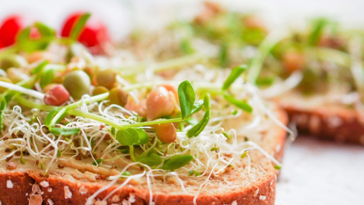Vollkornbrot mit Haferflocken, bestrichen mit Hummus, belegt mit frischen Sprossen und Samen, im Hintergrund Tomaten.