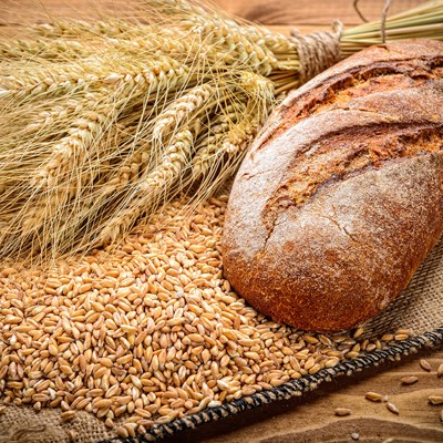 Ein Laib Brot liegt auf einem Jutestoff, daneben Weizenkörner und Ähren auf einem Holztisch.