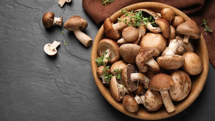 Braune Champignons und Thymianzweige liegen in einer Holzschale auf dunkelgrauem Steinuntergrund mit braunem Tuch.