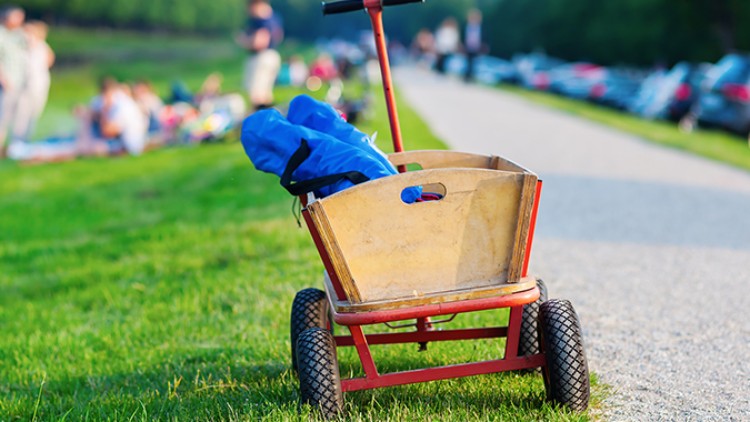 Ein brauner Holzbollerwagen mit roten Griffen und blauer Tasche steht auf einer Wiese neben einem Weg.