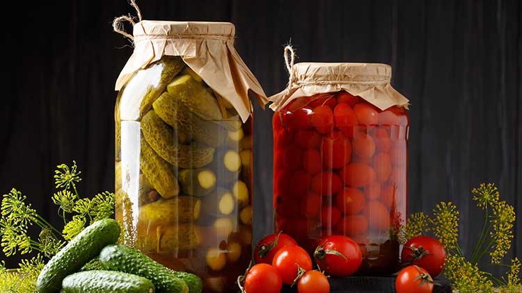 Zwei Einmachgläser mit Gewürzgurken und Tomaten, umgeben von frischen Gurken, Tomaten und Dill, vor dunklem Hintergrund.