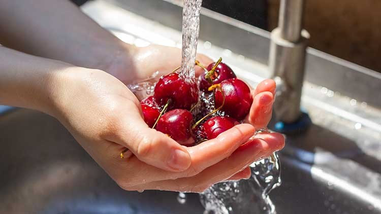 Zwei Hände halten eine Portion roter Kirschen unter fließendem Wasser an einem silbernen Wasserhahn in einem Waschbecken.