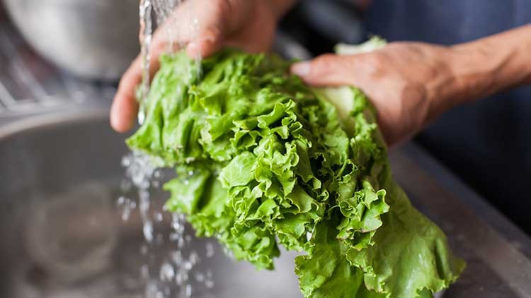 Hände halten frischen grünen Salat unter fließendem Wasser über einem Spülbecken.