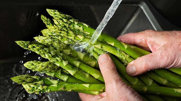 Grüner Spargel wird mit fließendem Wasser in einem Spülbecken abgespült, zwei Hände halten das Bündel fest.