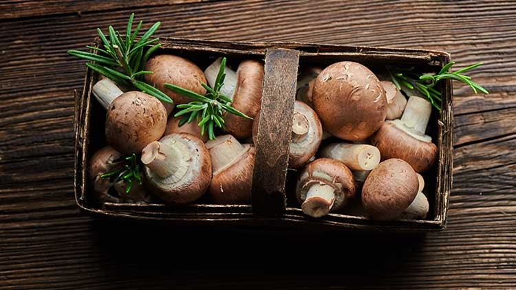 Eine rechteckige Holzschale mit braunen Champignons und frischen grünen Rosmarinzweigen auf einem dunklen Holztisch.