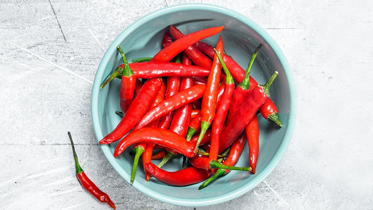 Rote Chilischoten liegen in einer hellblauen Schüssel auf einer hellgrauen Unterlage, eine Chilischote liegt daneben.