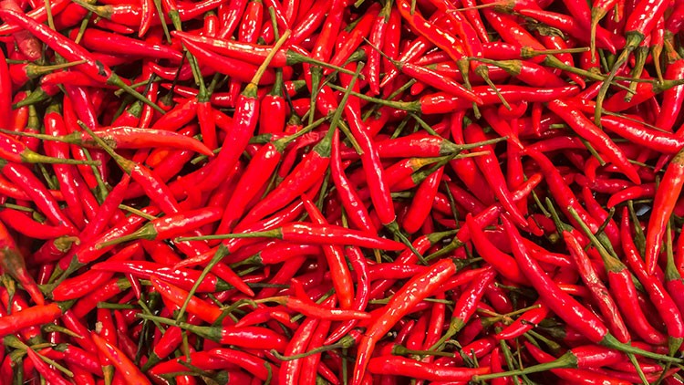 Viele frische rote Chilischoten mit grünen Stielen liegen dicht nebeneinander.