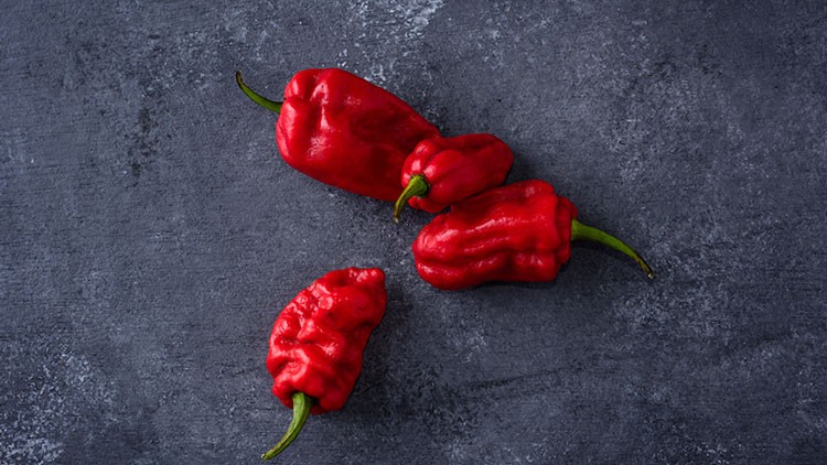 Vier rote Chilischoten mit grünen Stielen liegen auf einem dunkelgrauen Untergrund.