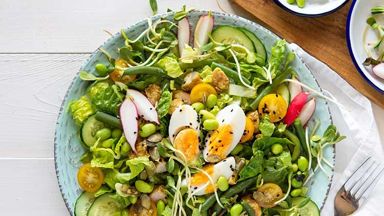 Bunter Salat mit Eiern, Radieschen, Gurken, gelben Tomaten, Edamame, Sprossen und grünen Blättern auf einer blauen Schale.