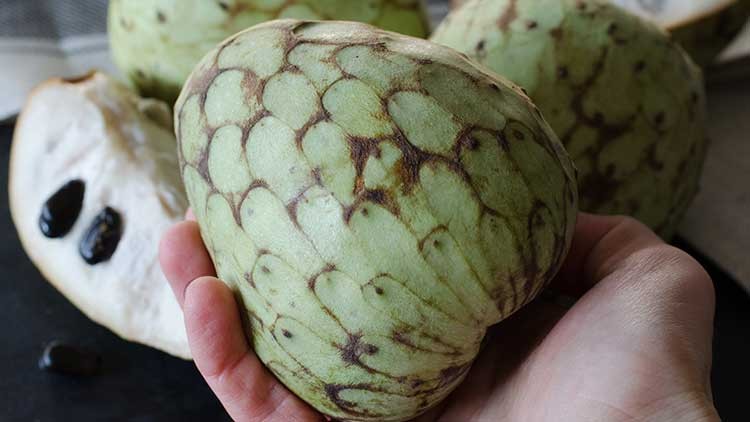 Eine Hand hält eine grüne Cherimoya mit schuppenartiger Oberfläche, im Hintergrund aufgeschnittene Früchte mit schwarzen Kernen.
