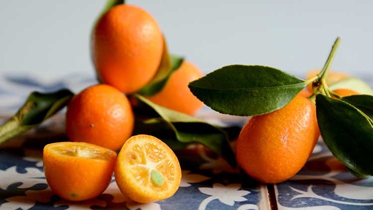 Kumquats mit grünen Blättern liegen auf gemusterten Fliesen, zwei Früchte sind halbiert und zeigen ihr Inneres.