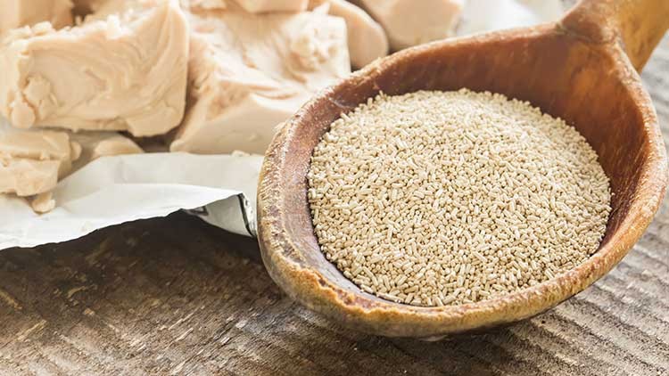 Eine Holzschaufel mit trockener Hefe liegt neben mehreren Stücken frischer Hefe auf einer Holzoberfläche.