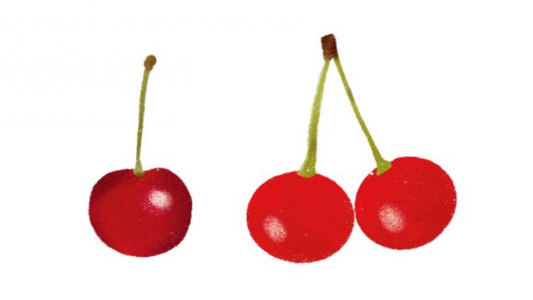 Eine einzelne rote Kirsche mit Stiel und ein Paar rote Kirschen mit verbundenen Stielen auf weißem Hintergrund.