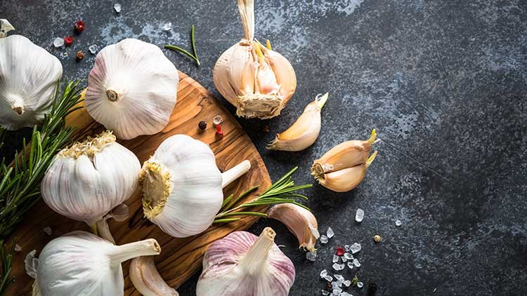 Ganze Knoblauchknollen und Zehen mit Rosmarinzweigen, grobem Salz und Pfefferkörnern auf Holzbrett und dunklem Untergrund.