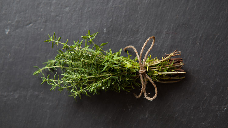 Oregano