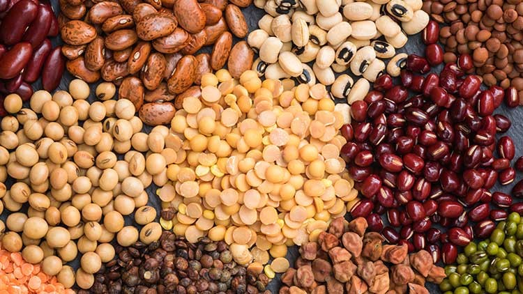 Verschiedene Hülsenfrüchte wie Bohnen, Linsen und Erbsen in unterschiedlichen Farben liegen dicht nebeneinander auf einer Fläche.
