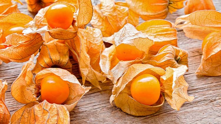 Physalis-Früchte mit leuchtend orangefarbener Schale und getrockneten Außenhüllen liegen auf einer Holzoberfläche.