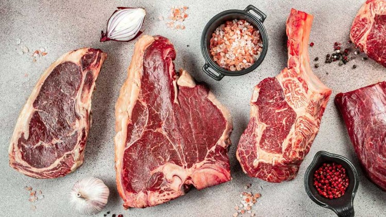 Verschiedene rohe Fleischstücke liegen auf grauem Untergrund mit Salz, Pfefferkörnern, Knoblauch und Zwiebeln als Dekoration.