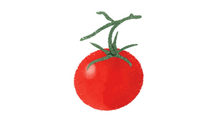 Eine rote Tomate mit grünem Stiel vor weißem Hintergrund.