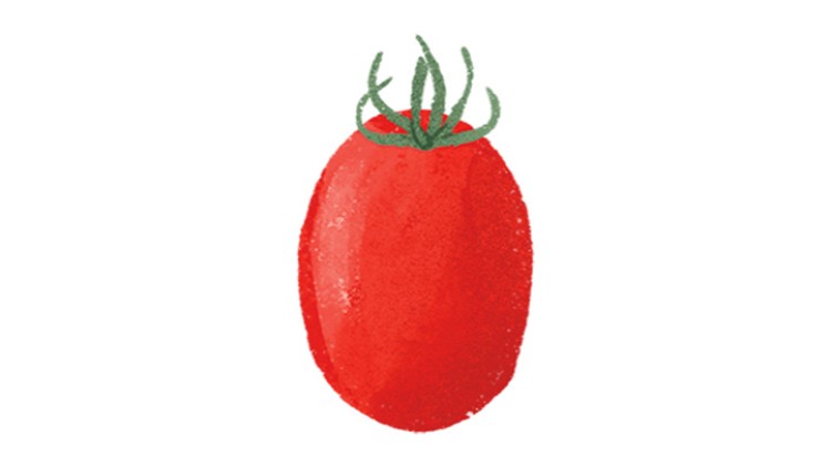 Eine rote, ovale Tomate mit grünen Stängeln vor weißem Hintergrund.