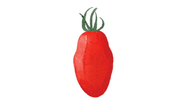 Rote, längliche Tomate mit grünem Stielansatz auf weißem Hintergrund.