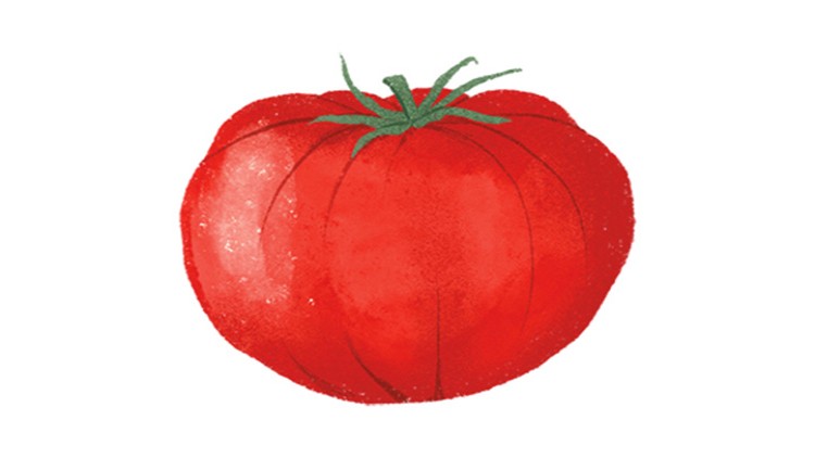 Eine große rote Tomate mit grünen Stielen auf weißem Hintergrund.