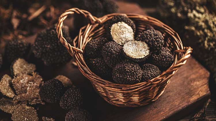 Ein kleiner geflochtener Korb mit schwarzen Trüffeln, dabei eine halbierte Trüffel mit sichtbarem gold-schimmerndem Innenbereich.
