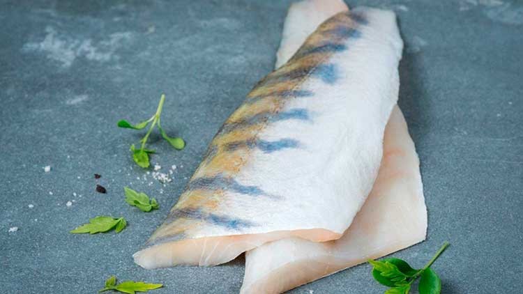 Zwei rohe Makrelenfilets liegen auf dunklem Untergrund, dekoriert mit kleinen grünen Kräutern.