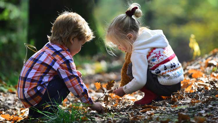 Zwei Kinder knien auf einem herbstlichen Waldboden und sammeln bunte Blätter zwischen Bäumen.
