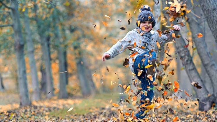 Person in Herbstkleidung tritt spielerisch in einen Haufen bunter Herbstblätter in einem Park mit Bäumen.