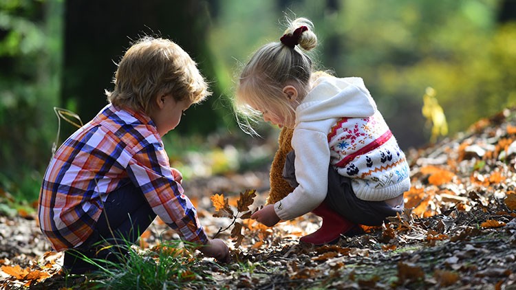 Zwei Kinder knien im herbstlichen Wald auf dem Boden und betrachten Blätter und Zweige, umgeben von buntem Laub.