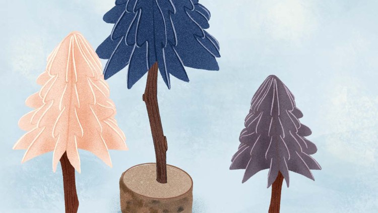 Drei stilisierte Tannenbäume in Blau, Rosa und Lila stehen auf Rundsockeln aus Holz vor einem hellblauen Hintergrund.