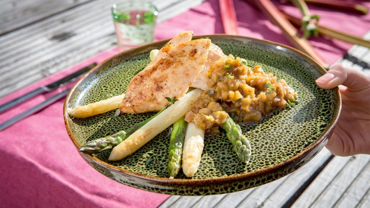 Gegrilltes Hähnchenfilet mit weißem und grünem Spargel sowie Gemüsekompott auf einem gesprenkelten Teller.