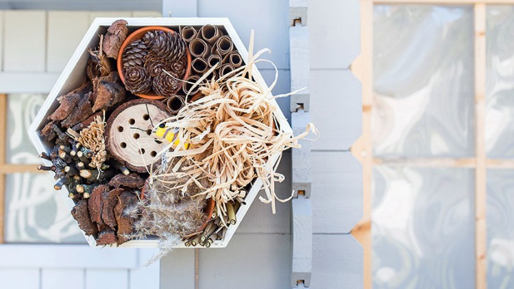 Ein sechseckiges Insektenhotel aus Holz mit Naturmaterialien hängt an einer hellblauen Holzfassade.