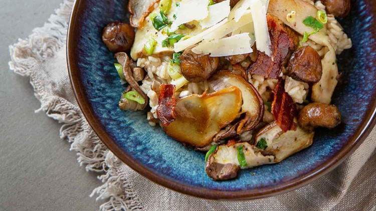 Eine Schale mit Risotto, garniert mit Pilzen, Parmesan und frischen Kräutern, daneben ein Teller mit Käse und Käsehobel.