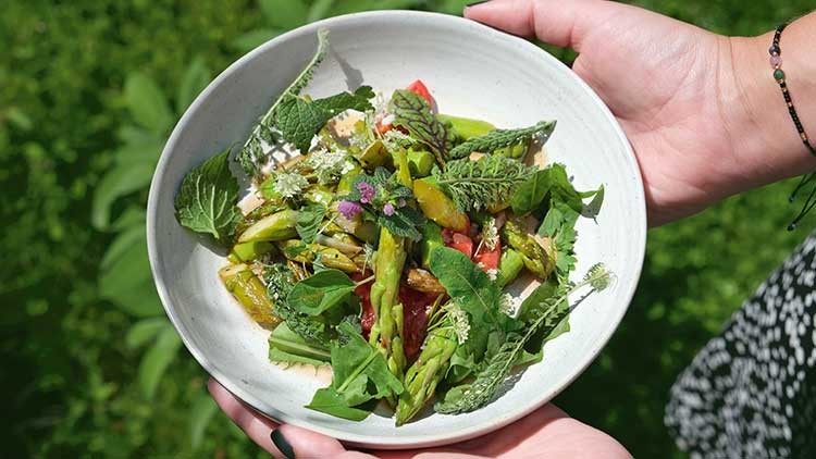 Hände halten einen weißen Teller mit grünem Salat, Spargel, Kräutern, essbaren Blüten und roten Tomatenstücken.