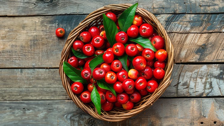 Guarana