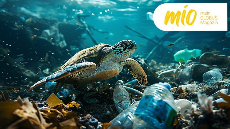 Meeresschildkröte schwimmt zwischen Plastikmüll im trüben Wasser, oben rechts steht „mio mein GLOBUS Magazin“ auf weißem Hintergrund.