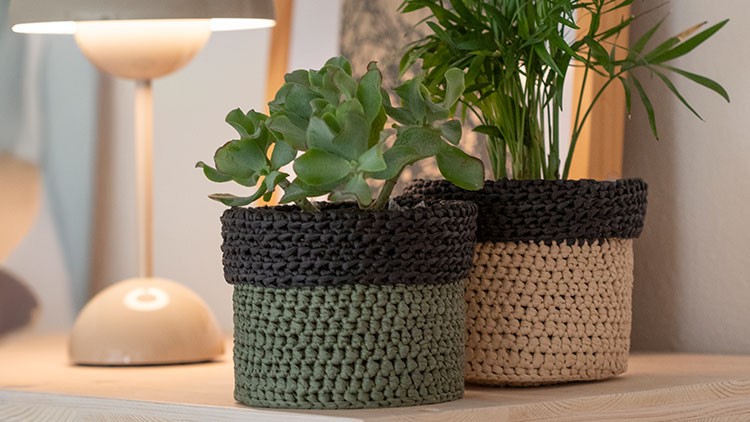 Zwei Pflanzen in gestrickten Übertopfen, einer grün-schwarz, der andere beige-schwarz, stehen auf einem Holztisch vor einer Lampe.