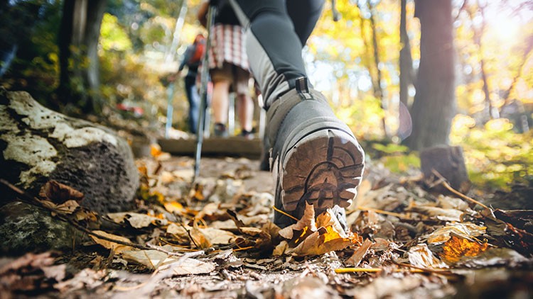 Person wandert in einem Wald auf einem mit Herbstlaub bedeckten Pfad, der Fokus liegt auf einem Wanderschuh.