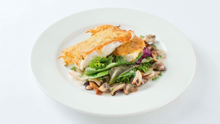 Gericht mit zwei Stücken gebratenem Fisch auf gemischtem Salat, Pilzen und Kräutern auf weißem Teller.
