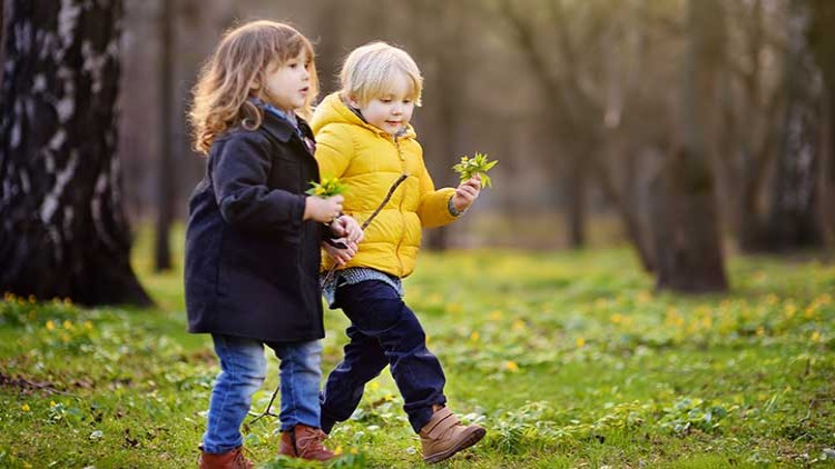 Kinder im Wald