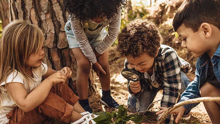 Vier Kinder sitzen und hocken in einem Wald, betrachten Blätter und Zweige auf dem Boden, eines hält eine Lupe.